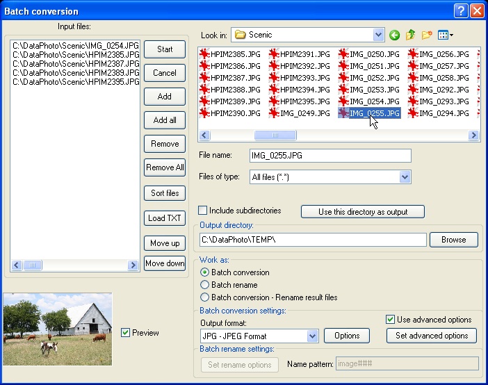 batch file rename sequential